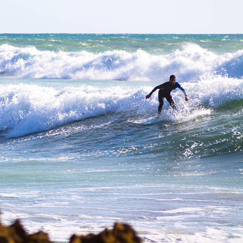 Surfers riding large waves