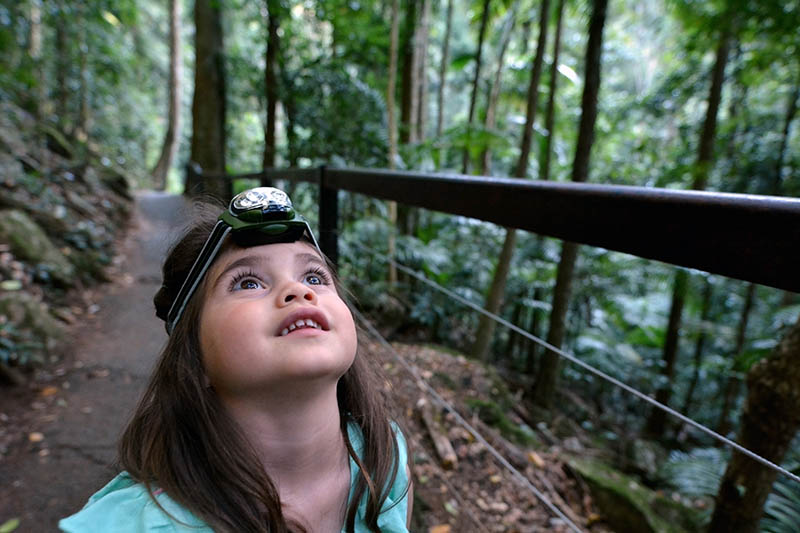 Child during a rainforest walk in Springbrook National Park in Queensland Australia