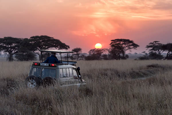 Sunrise in the Serengeti, Tanzania