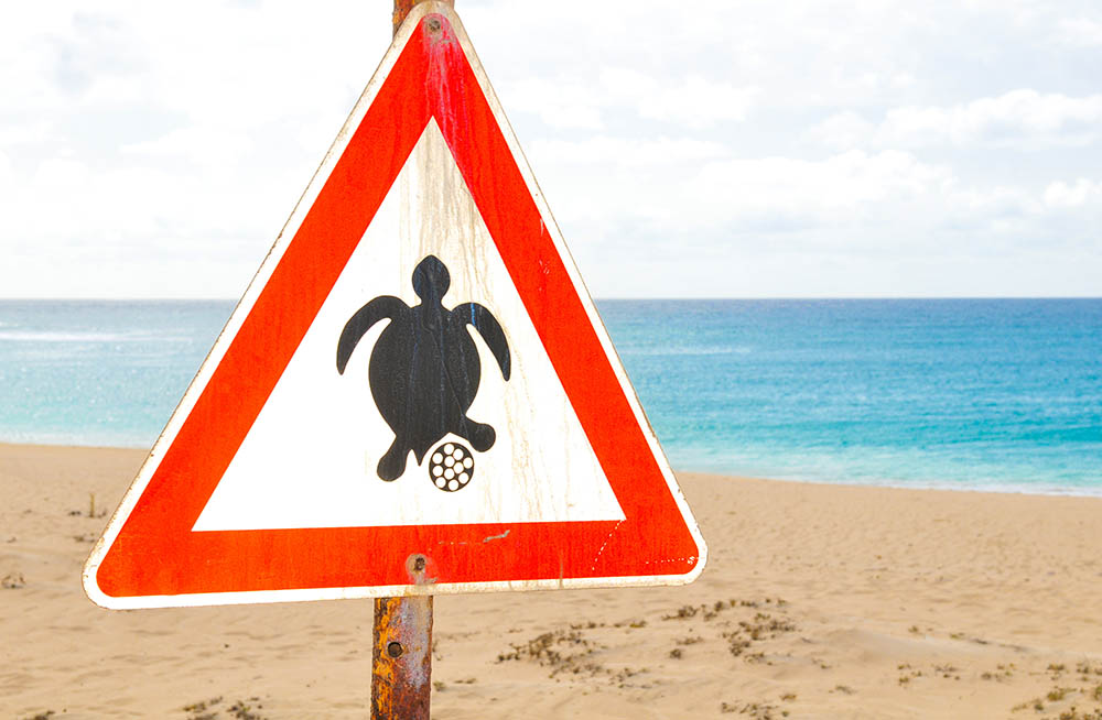 Sign warning tourists of the turtle nesting season