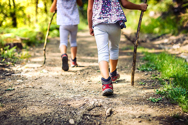 Children hiking in the forest