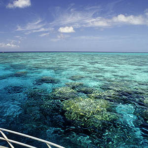 Great Barrier Reef, Australia