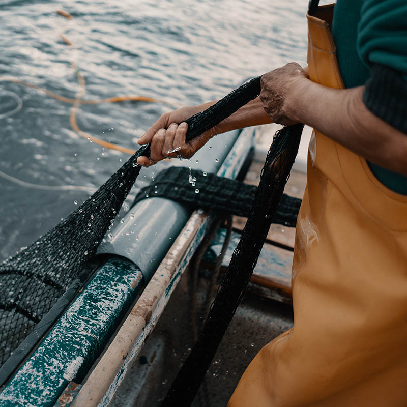 Traditional fishing in the Venetian Lagoon, Venice