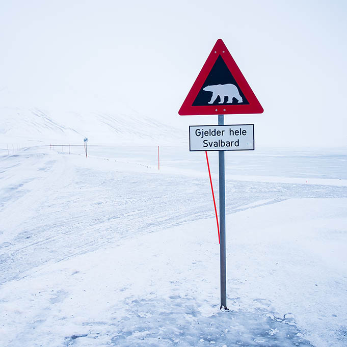 Sign warning of polar bears on Svalbard