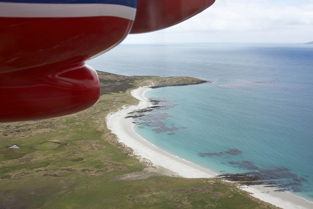 Flying over the beautiful white sandy beaches and clear blue waters of the Falkland Islands