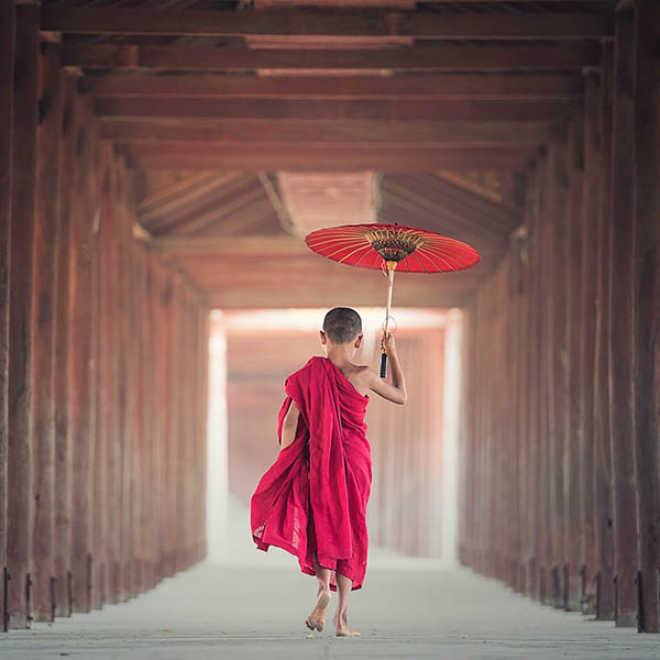 Young monk walking with an umbrella in Myanmar