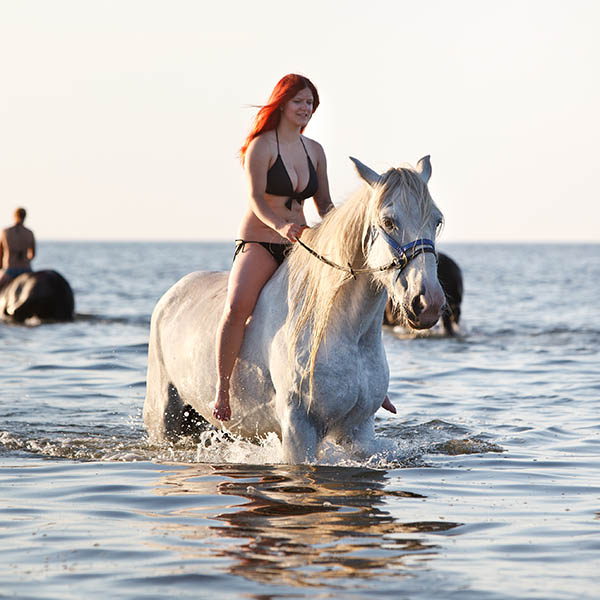 Young woman with red hair riding a white horse in the sea