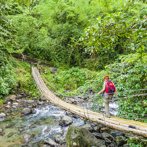 Hiker on the bamboo bridge crossing the Richmond River, leading to Dark View Falls, located in the north west of St. Vincent, SVG