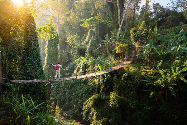 Backpacker on suspension bridge in rainforest in Chang Mai Province, Thailand