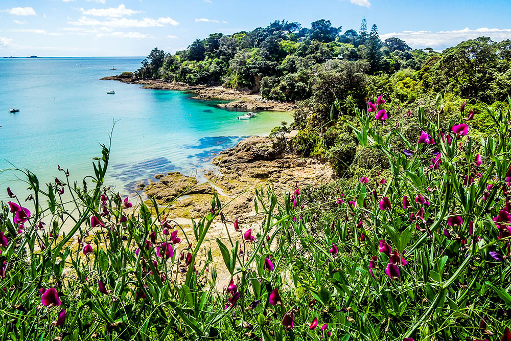 Hekerua Bay on Waiheke Island, New Zealand