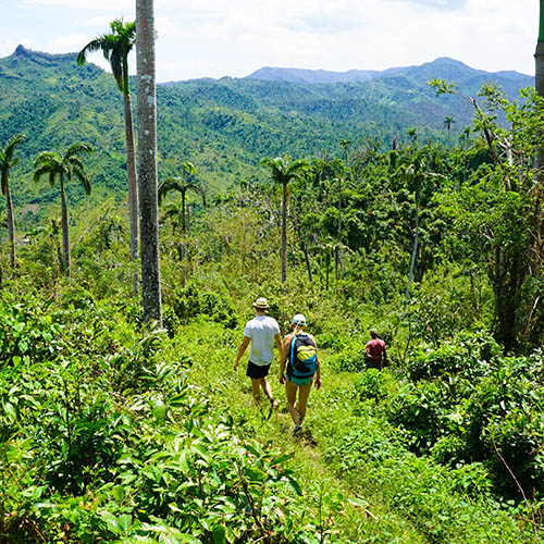 Hiking in Cuba's El Yunque National Park