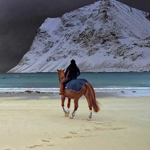 Riding on a beach in winter in the Lofoten Islands, Norway