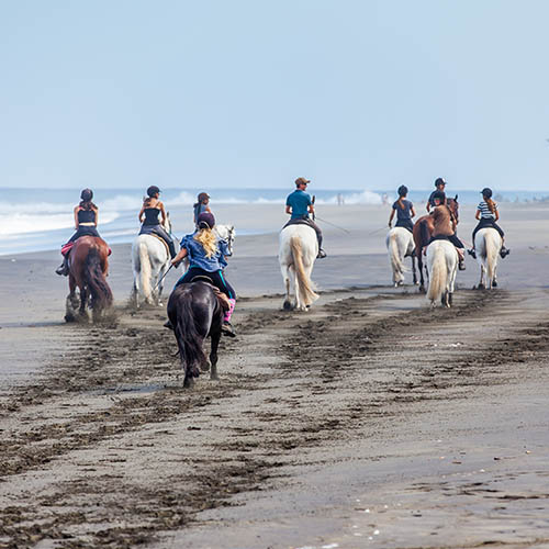 Group of people horse riding on l'Etang-Salé beach, La Réunion