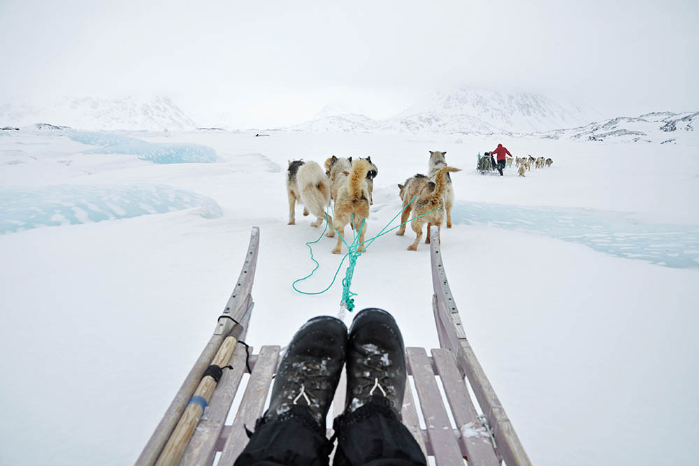 Dog sledging trip in cold snowy winter, Greenland