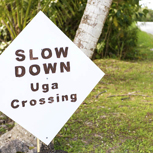 Uga Crossing road sign on the island of Niue in the South Pacific