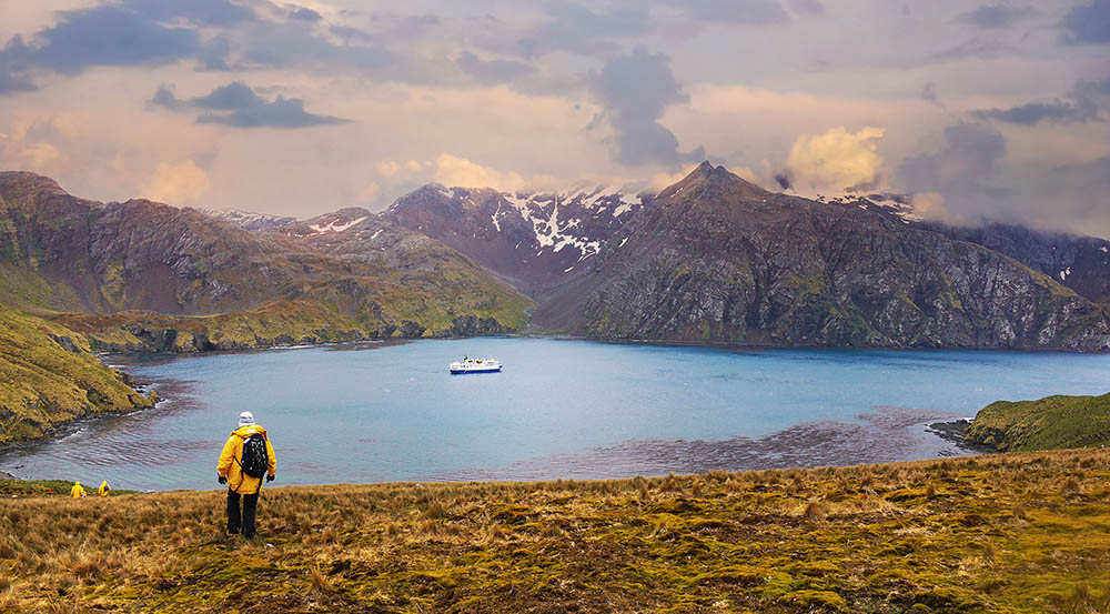 Wide angle landscape scene of South Georgia Island with Antarctic expedition ship passengers walking back to harbor where ship is anchored.