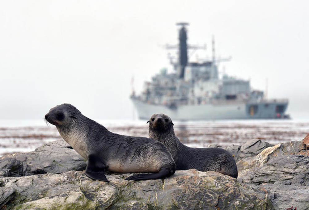 HMS PORTLAND visits South Georgia