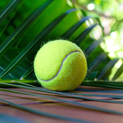 Tennis layout with tennis ball on tropical palm leaf background