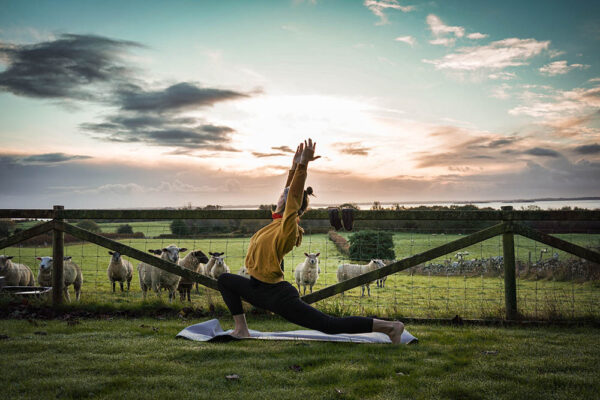 Woman practising yoga in front of a field of sheep in Ireland