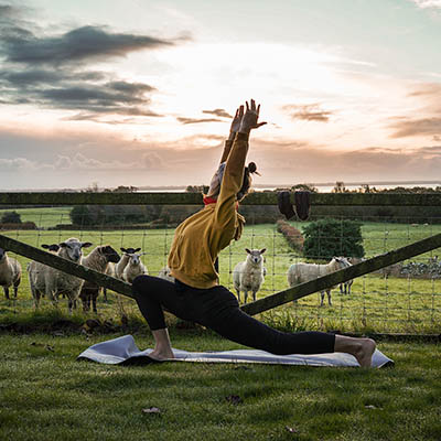 Woman practising yoga in front of a field of sheep in Ireland