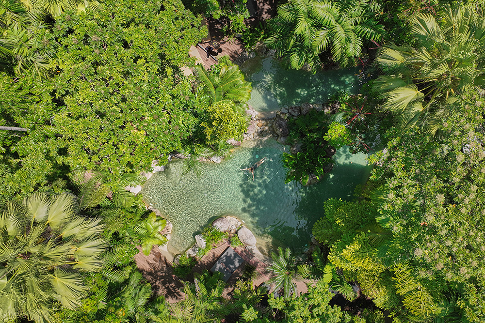 Aerial view of swimming pool at Silky Oaks Lodge, Tropical North Queensland, Australia