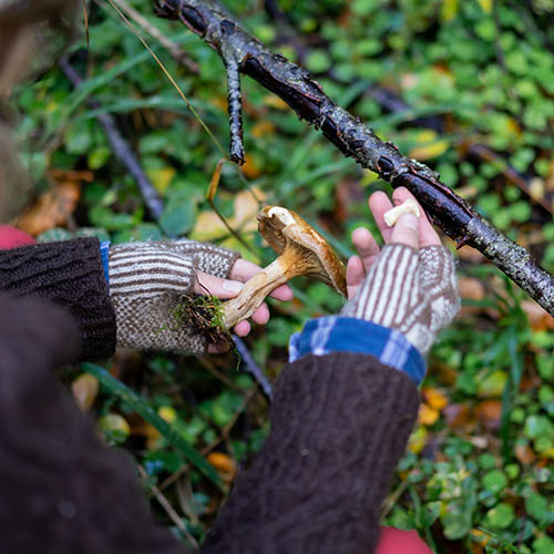 Young woman foraging for mushrooms in a forest on the Aland Islands, Finland