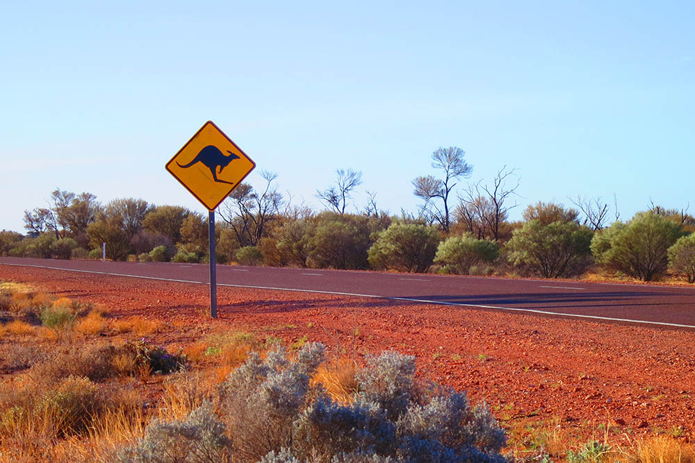 Outback australian famous iconic kangaroo motorway road sign taken in the desert on the stuart highway in South Australia, SA